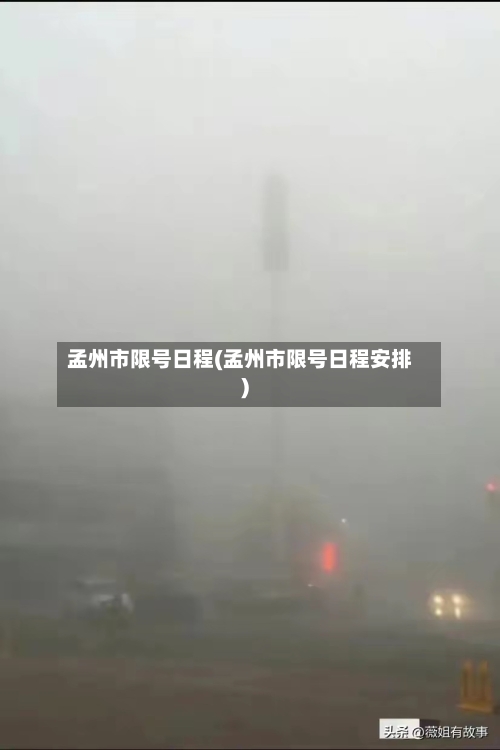孟州市限号日程(孟州市限号日程安排)