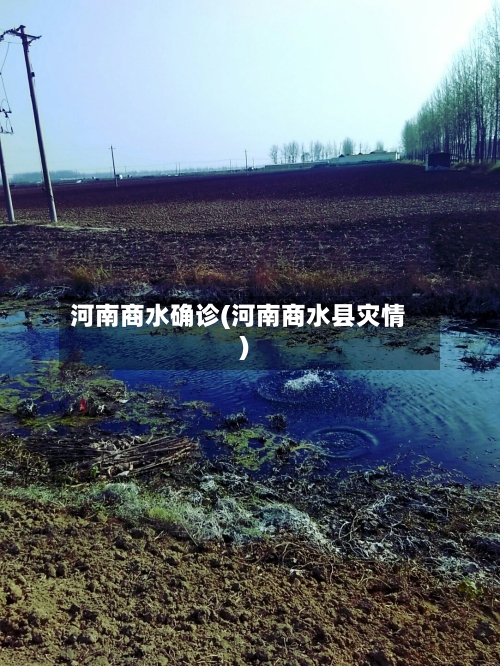 河南商水确诊(河南商水县灾情)