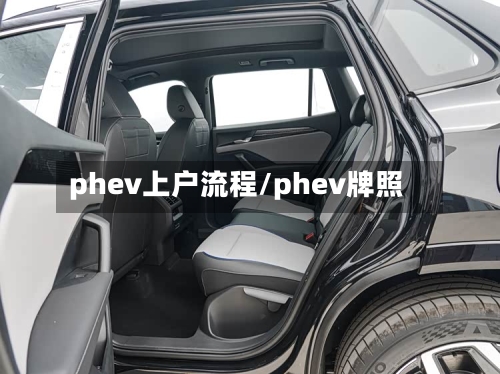 phev上户流程/phev牌照