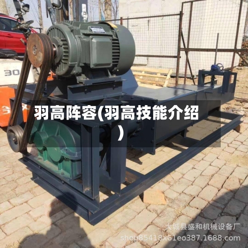 羽高阵容(羽高技能介绍)