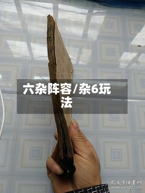 六杂阵容/杂6玩法