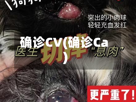 确诊CV(确诊Ca)