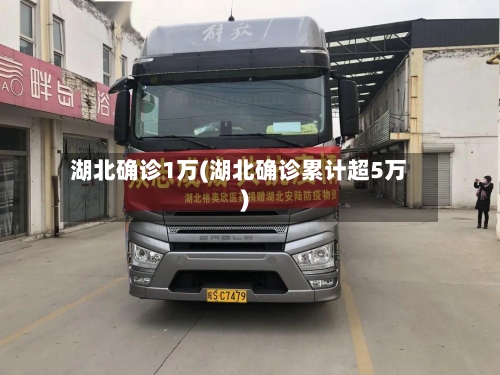湖北确诊1万(湖北确诊累计超5万)