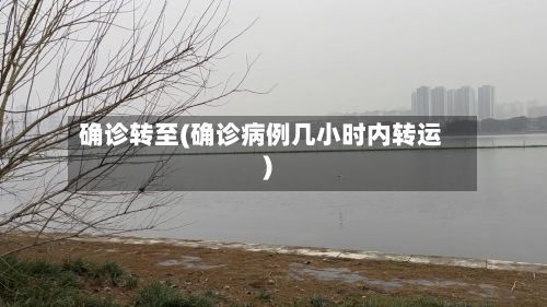 确诊转至(确诊病例几小时内转运)