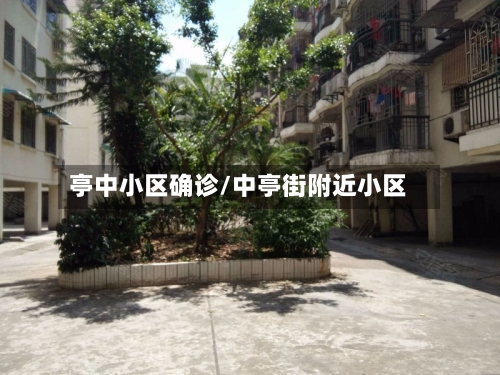 亭中小区确诊/中亭街附近小区