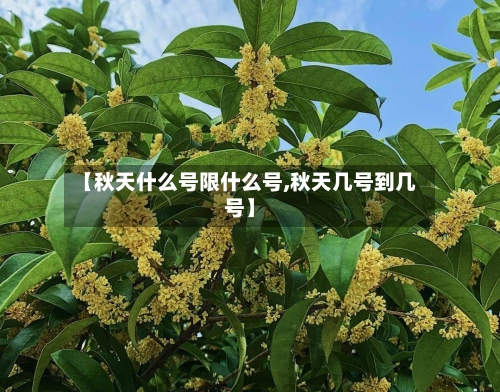 【秋天什么号限什么号,秋天几号到几号】