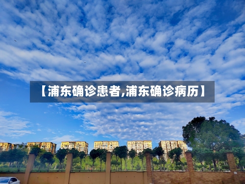 【浦东确诊患者,浦东确诊病历】