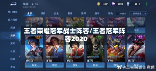 王者荣耀冠军战士阵容/王者冠军阵容2020