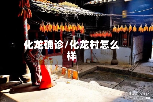 化龙确诊/化龙村怎么样