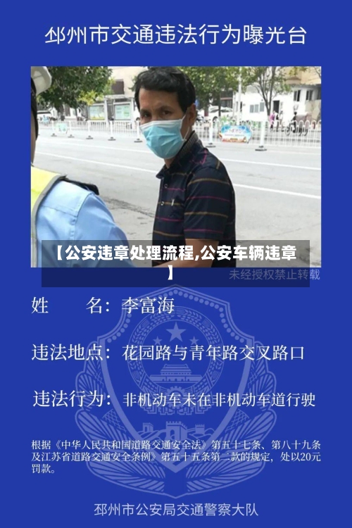 【公安违章处理流程,公安车辆违章】