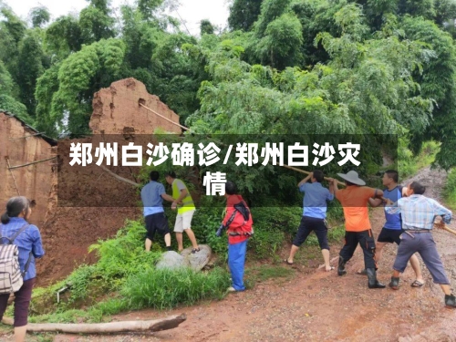 郑州白沙确诊/郑州白沙灾情