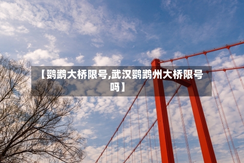 【鹦鹉大桥限号,武汉鹦鹉州大桥限号吗】