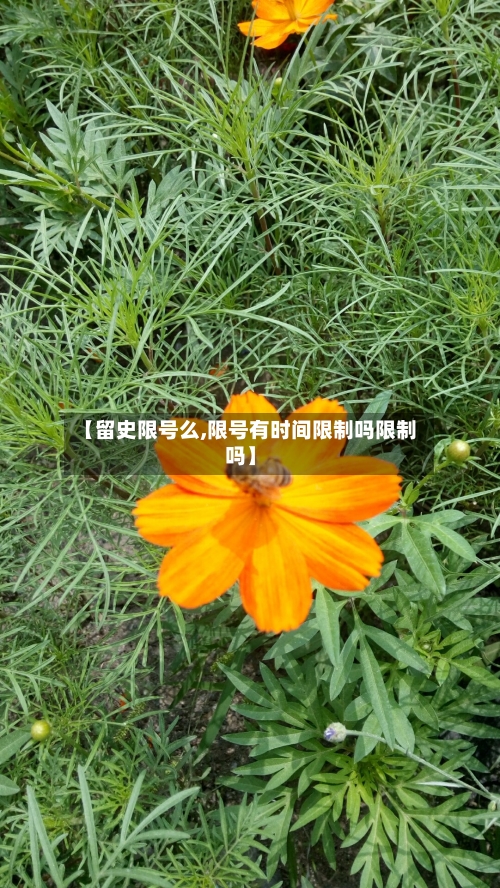 【留史限号么,限号有时间限制吗限制吗】