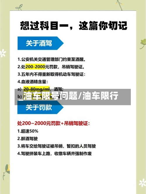 _油车限号问题/油车限行