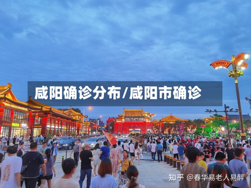 咸阳确诊分布/咸阳市确诊