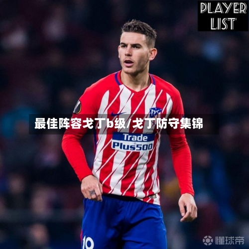 最佳阵容戈丁b级/戈丁防守集锦