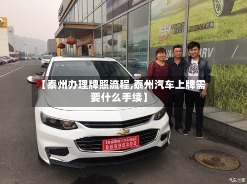 【泰州办理牌照流程,泰州汽车上牌需要什么手续】