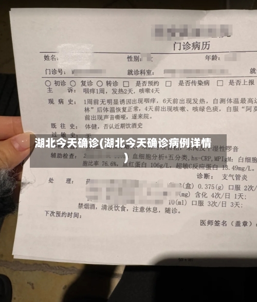 湖北今天确诊(湖北今天确诊病例详情)