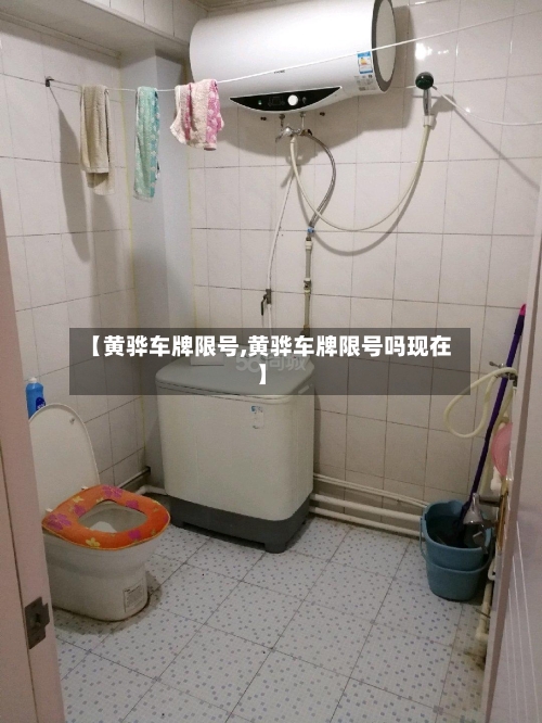 【黄骅车牌限号,黄骅车牌限号吗现在】