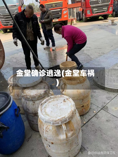 金堂确诊逃逸(金堂车祸)