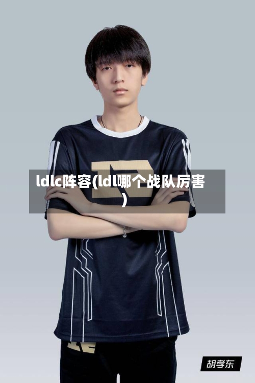 ldlc阵容(ldl哪个战队厉害)