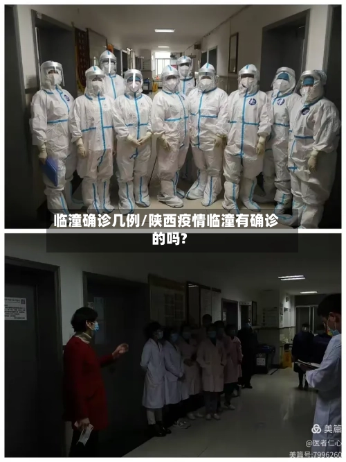 临潼确诊几例/陕西疫情临潼有确诊的吗?