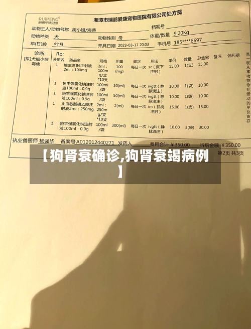 【狗肾衰确诊,狗肾衰竭病例】