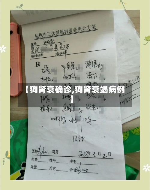 【狗肾衰确诊,狗肾衰竭病例】