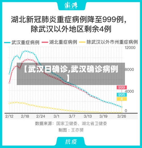 【武汉日确诊,武汉确诊病例】