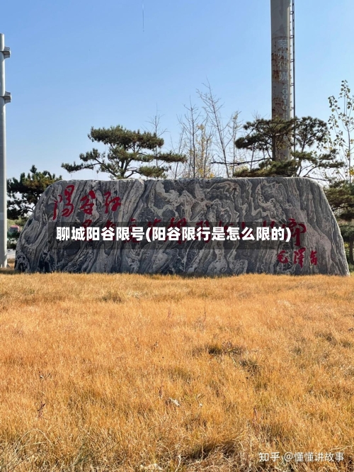 聊城阳谷限号(阳谷限行是怎么限的)