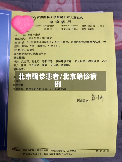 北京确诊患者/北京确诊病例