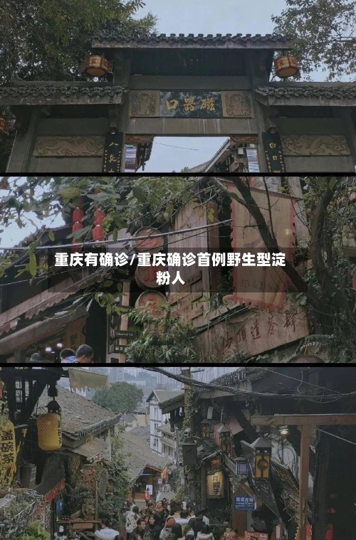 重庆有确诊/重庆确诊首例野生型淀粉人