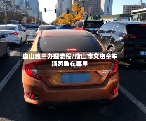 唐山违章办理流程/唐山市交违章车辆罚款在哪里