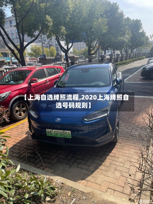 【上海自选牌照流程,2020上海牌照自选号码规则】