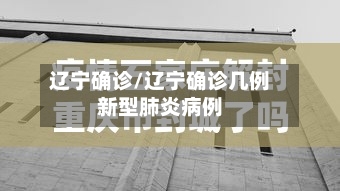 辽宁确诊/辽宁确诊几例新型肺炎病例