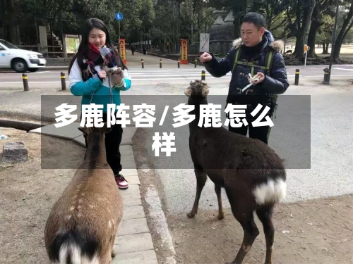 多鹿阵容/多鹿怎么样