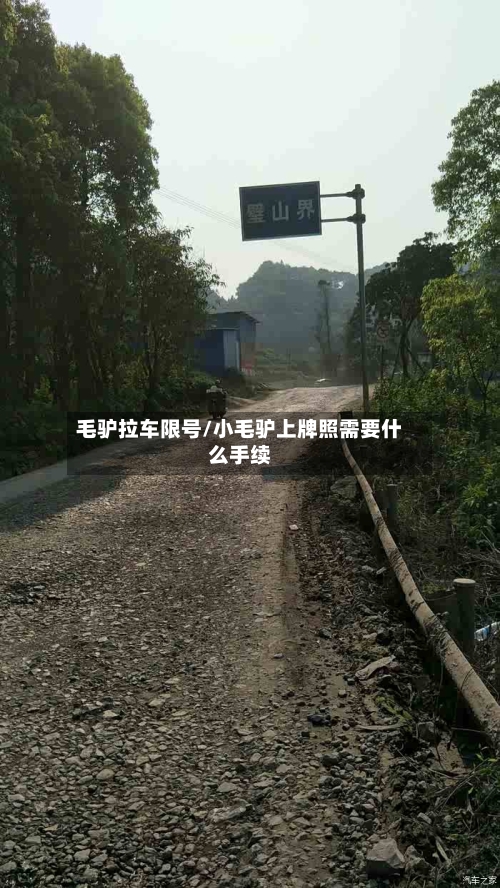 毛驴拉车限号/小毛驴上牌照需要什么手续