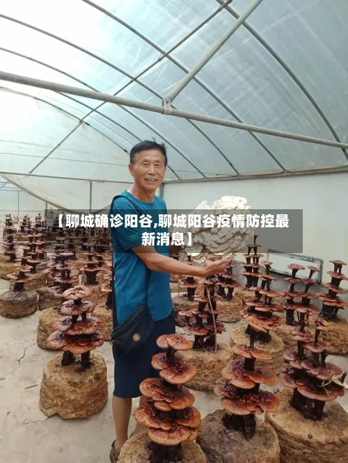 【聊城确诊阳谷,聊城阳谷疫情防控最新消息】