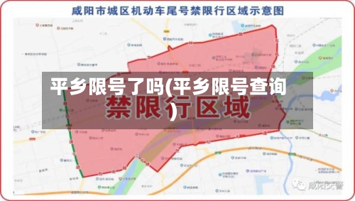 平乡限号了吗(平乡限号查询)