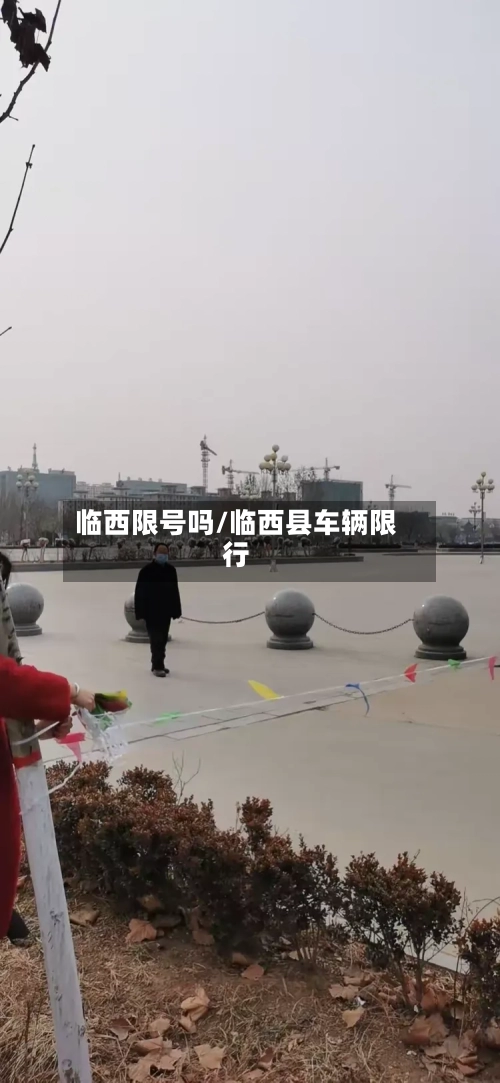 临西限号吗/临西县车辆限行