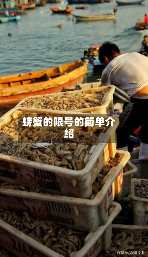 螃蟹的限号的简单介绍