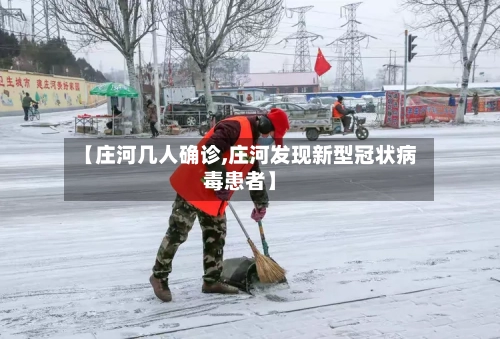 【庄河几人确诊,庄河发现新型冠状病毒患者】