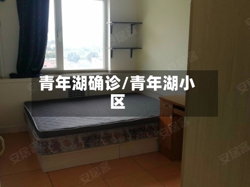青年湖确诊/青年湖小区