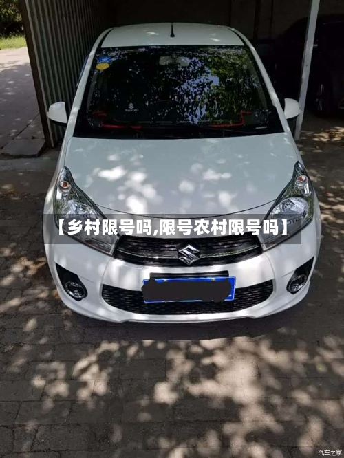 【乡村限号吗,限号农村限号吗】