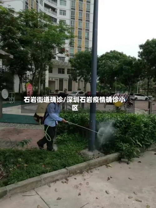 石岩街道确诊/深圳石岩疫情确诊小区