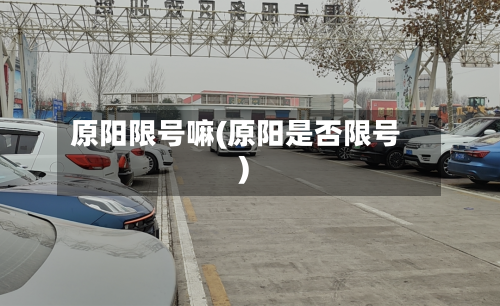 原阳限号嘛(原阳是否限号)