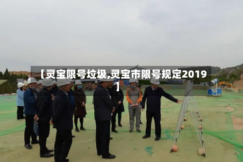【灵宝限号垃圾,灵宝市限号规定2019】