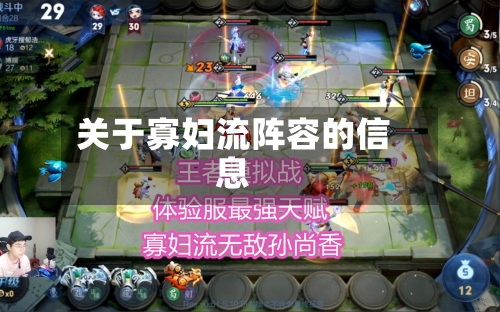 关于寡妇流阵容的信息
