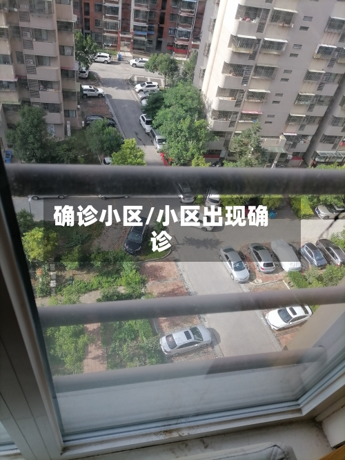 确诊小区/小区出现确诊