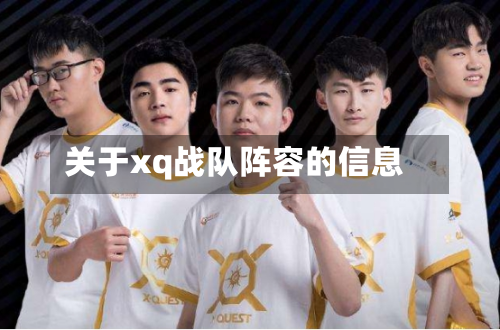 关于xq战队阵容的信息
